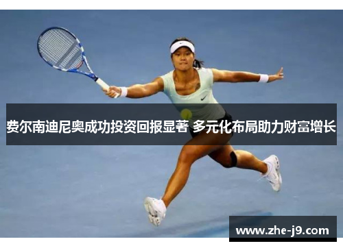 费尔南迪尼奥成功投资回报显著 多元化布局助力财富增长